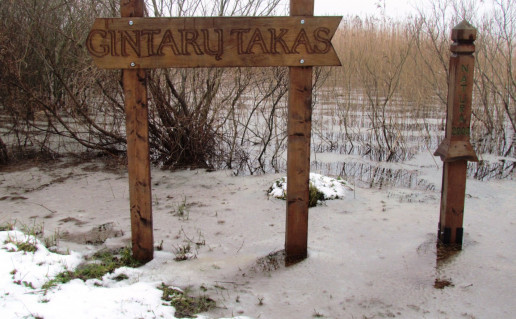 21_gintaru takas  (1).jpg